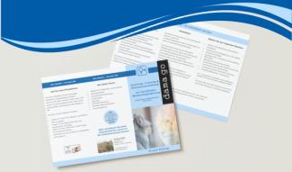 Flyer Coaching Erfurt